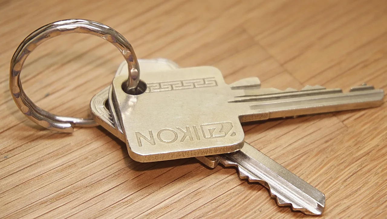 keys, key ring, security, open, unlock, metal, secure, access, silver, brown security, brown key, brown metal, keys, key ring, key ring, key ring, key ring, key ring. Which account security tools are worth installing