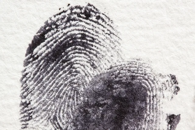 fingerprint, dactylogram, papillary ridges, fingertip, contact, crime, criminal law, detective, finger, security, ink, black, uniqueness, fingerprint, fingerprint, fingerprint, fingerprint, fingerprint, crime, crime, crime, detective, detective, detective. Background Check Risks: Wrong Records and FCRA Dispute Steps