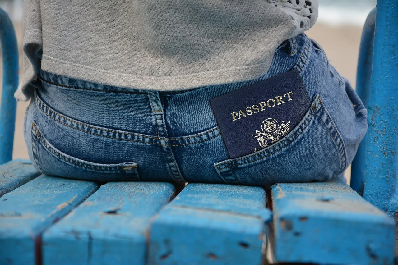 pass, passport, id, document, pants, pocket, back pocket, person, back, away, travel, travel document, identity, stay, visa, blue travel, blue document, passport, passport, passport, passport, passport, visa, visa, visa, visa. Background checks: lawful screening and privacy risks