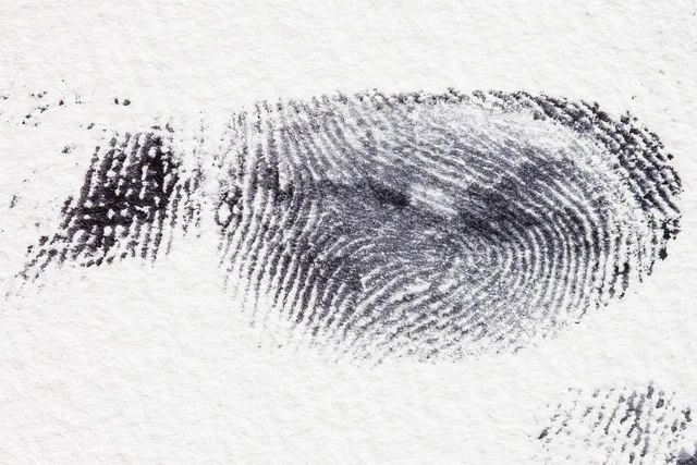 fingerprint, dactylogram, papillary ridges, fingertip, contact, crime, criminal law, detective, finger, security, ink, black, uniqueness, fingerprint, fingerprint, fingerprint, fingerprint, fingerprint, crime, detective, detective, detective. Background checks changes, one decision at a time