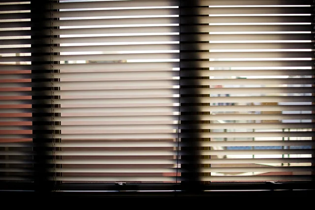 window blinds, office, office window, horizontal, privacy, interior, business, brown business, brown office, brown window, brown company, brown interior, window blinds, window blinds, window blinds, window blinds, window blinds. Company Lost My Data Canada: PIPEDA Rules