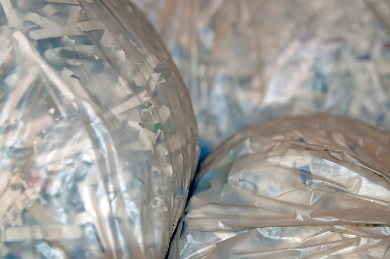 paper, shredded, shredder, shredding, confidential, strips, garbage, bags, documents, recycling, shred, waste, office, destroy, disposal, old, identity theft, personal, privacy. Privacy settlement risks for organizations: four misreadings